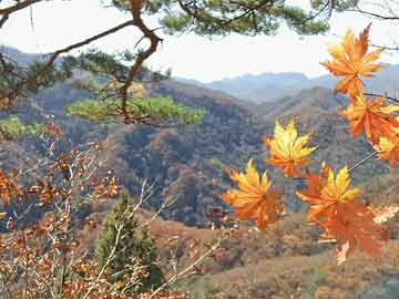 湖州石榴太湖院子最新動(dòng)態(tài)，揭秘最新消息????
