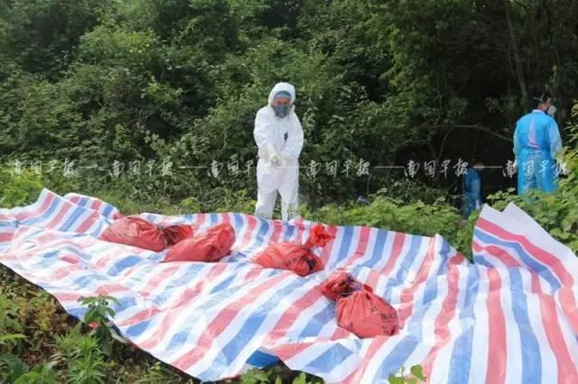 惠州殺人案最新消息，深度分析與觀點(diǎn)闡述