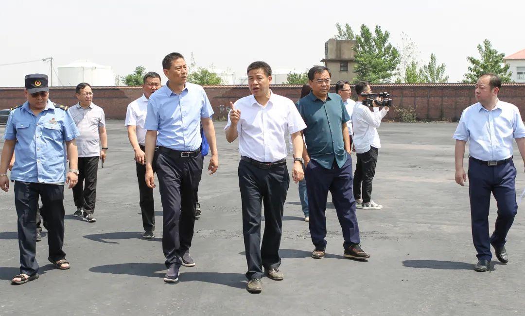 安徽百善大豆最新價格及美景之旅，探尋自然，回歸內(nèi)心寧靜與平和