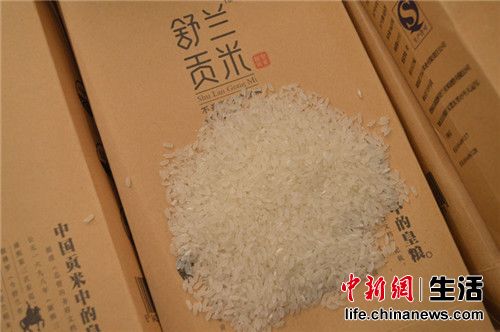 稻花香上市最新消息與小巷特色小店的獨(dú)特魅力揭秘