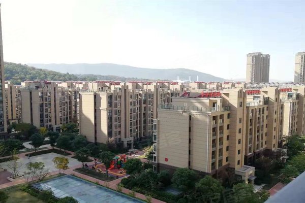 蘇州尼盛濱江城最新房價(jià)揭秘，探索樓市動(dòng)態(tài)????