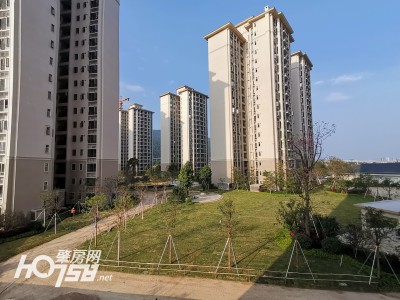 農(nóng)房瀾山，崛起的地標(biāo)，引領(lǐng)時代新篇章的最新消息
