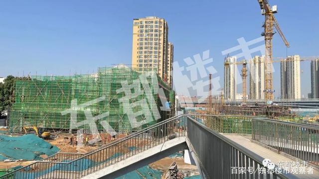 洛陽市道北最新動態(tài)及相關(guān)論述概述