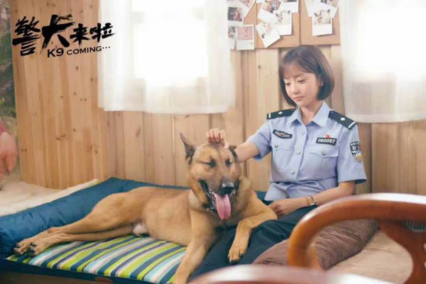 最新警犬電視劇概覽，科技重塑生活，潮流引領(lǐng)之作