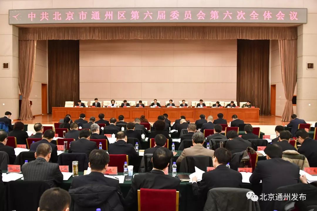 通州君最新消息,通州君最新消息，日常趣事與友情紐帶