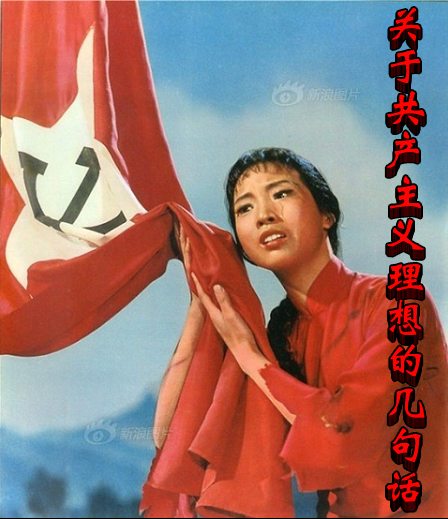 張宏良最新博文詳解，閱讀指南與操作教程