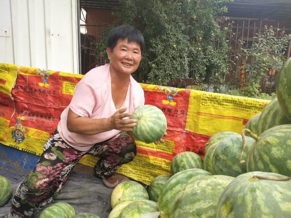 河南開封西瓜最新價(jià)格，盛夏甜蜜盛宴開啟