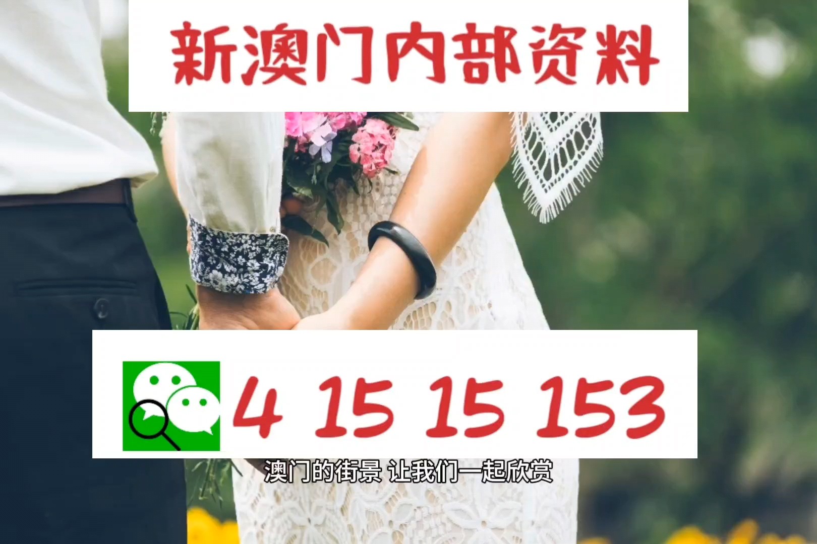 澳門寶典2024年最新版免費,數(shù)據(jù)導向程序解析_IGV83.658獲取版