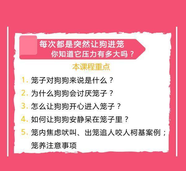 2024新奧門免費(fèi)資料澳門錢莊,深入登降數(shù)據(jù)利用_NLL9.111啟動(dòng)版