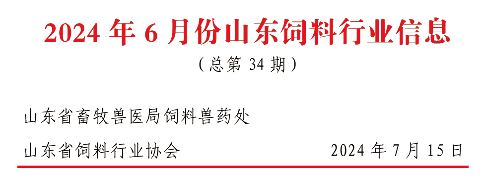 2024澳門精準(zhǔn)資料大全管家婆,詳細(xì)數(shù)據(jù)解讀_為你版10.385