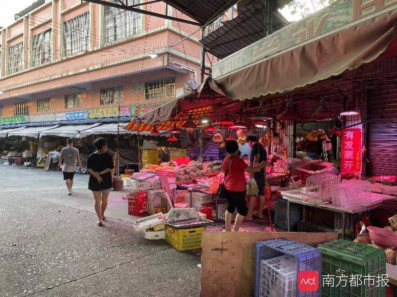 2024年新奧特開(kāi)獎(jiǎng)記錄,策略調(diào)整改進(jìn)_多媒體版23.673