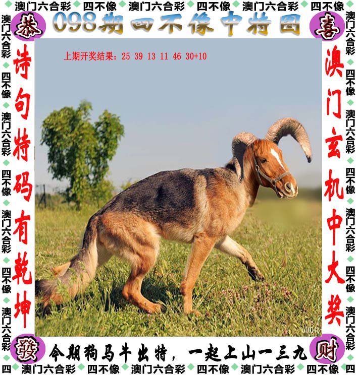 自行車配件 第279頁