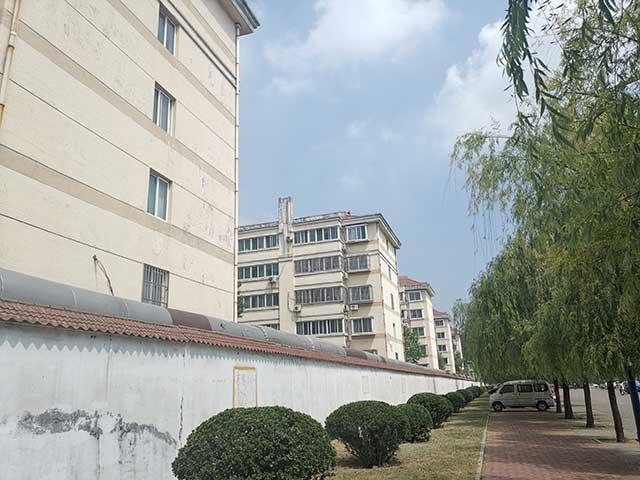 山東魏橋集團最新動態(tài)概覽，全面指南與技能學習路徑探索