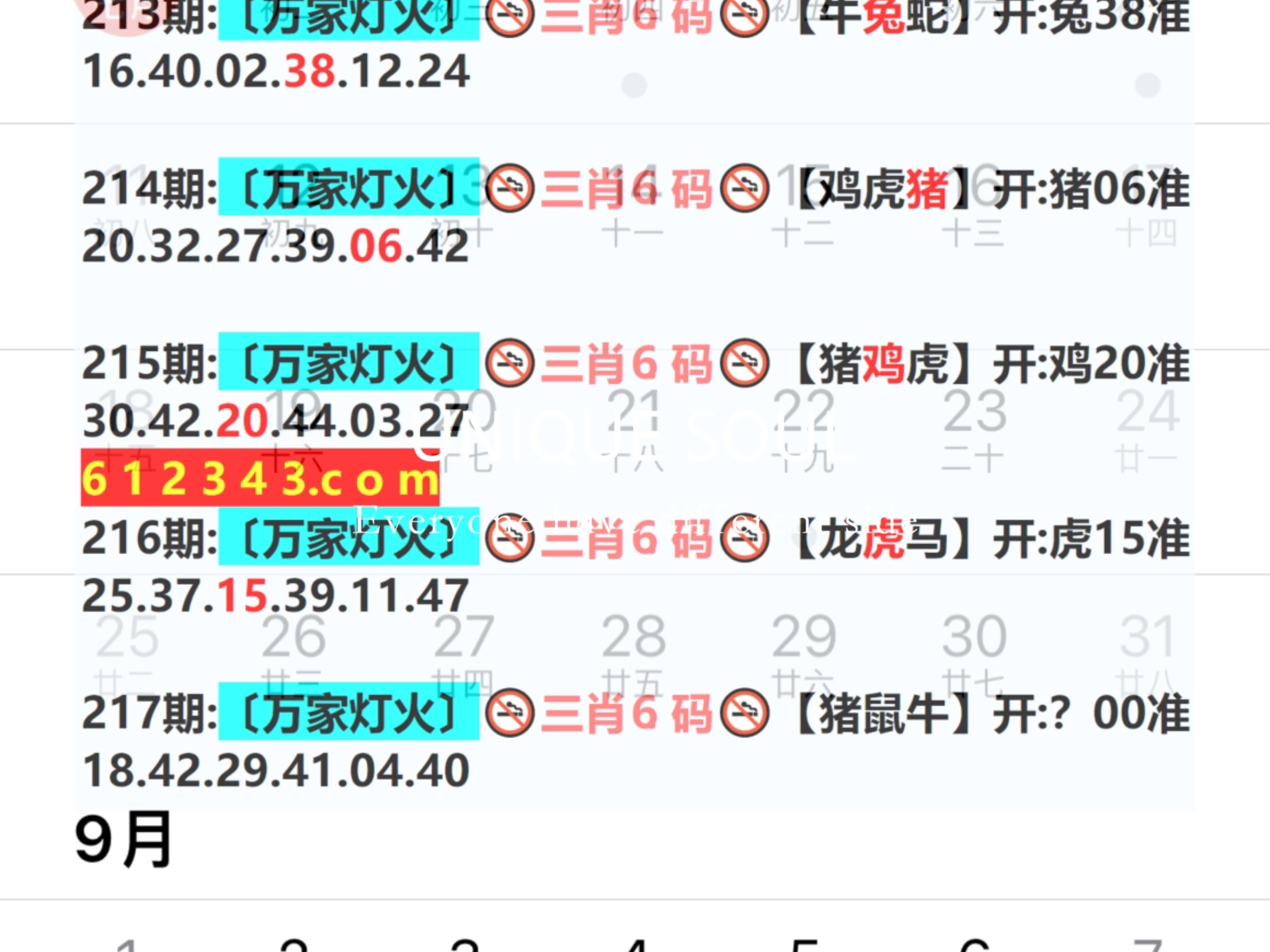 2024年341期奧門開(kāi)獎(jiǎng)結(jié)果,新式數(shù)據(jù)解釋設(shè)想_實(shí)用版63.731