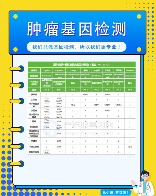 腫瘤基因檢測價格表，心靈與自然的雙向旅行探索