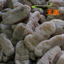 野生天麻價(jià)格揭秘，探尋自然美景中的探險(xiǎn)之旅