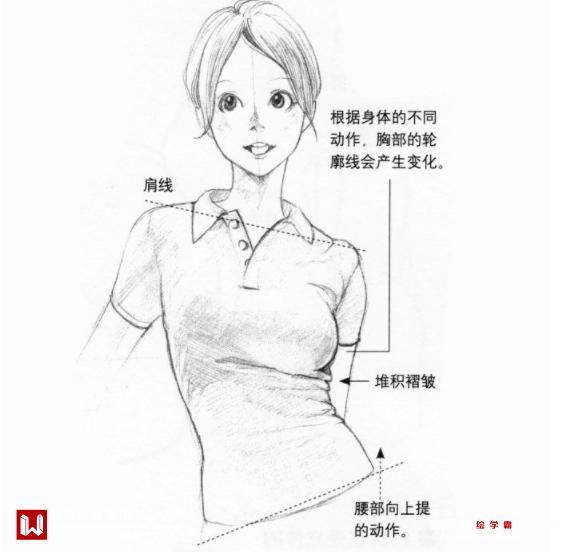 動漫女生胸部，從藝術(shù)表現(xiàn)到現(xiàn)實科普的探討