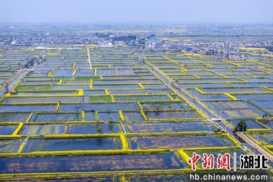洪湖最新新聞網(wǎng)聚焦時(shí)事熱點(diǎn)，傳遞正能量聲音資訊