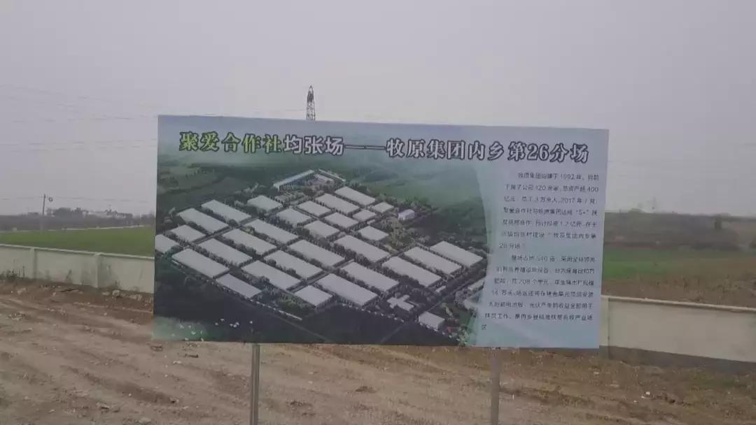 廣東豬場(chǎng)最新招聘信息，科技智能養(yǎng)殖，開啟未來新篇章