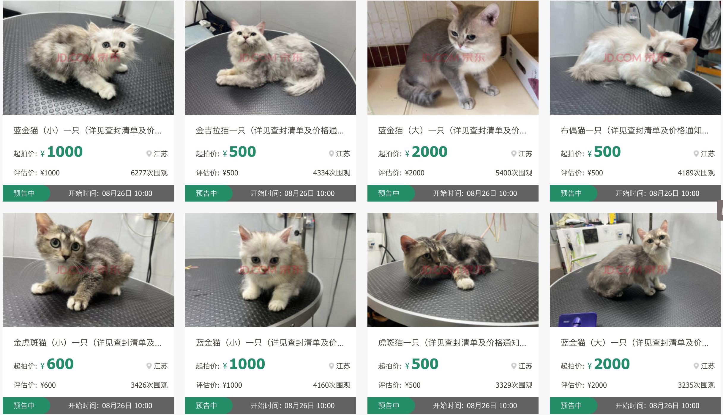 張家港最新土地拍賣與巷弄深處的獨(dú)特小店探秘