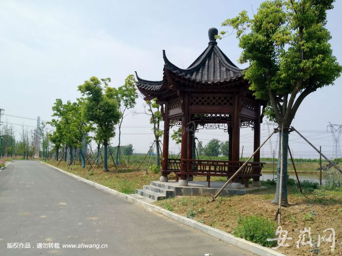 吳山至南崗最新動態(tài)，砥礪前行，自信成就未來之路