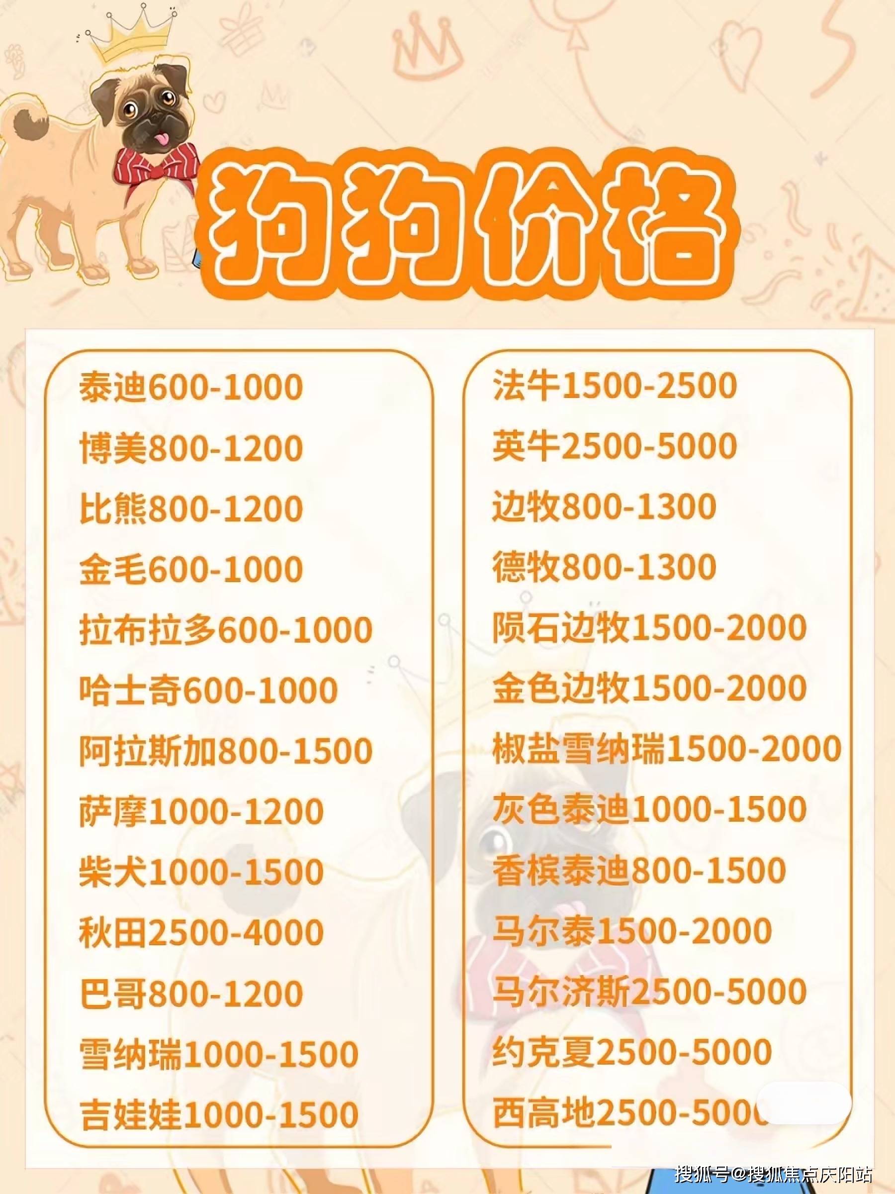 最新長毛牧羊犬價格