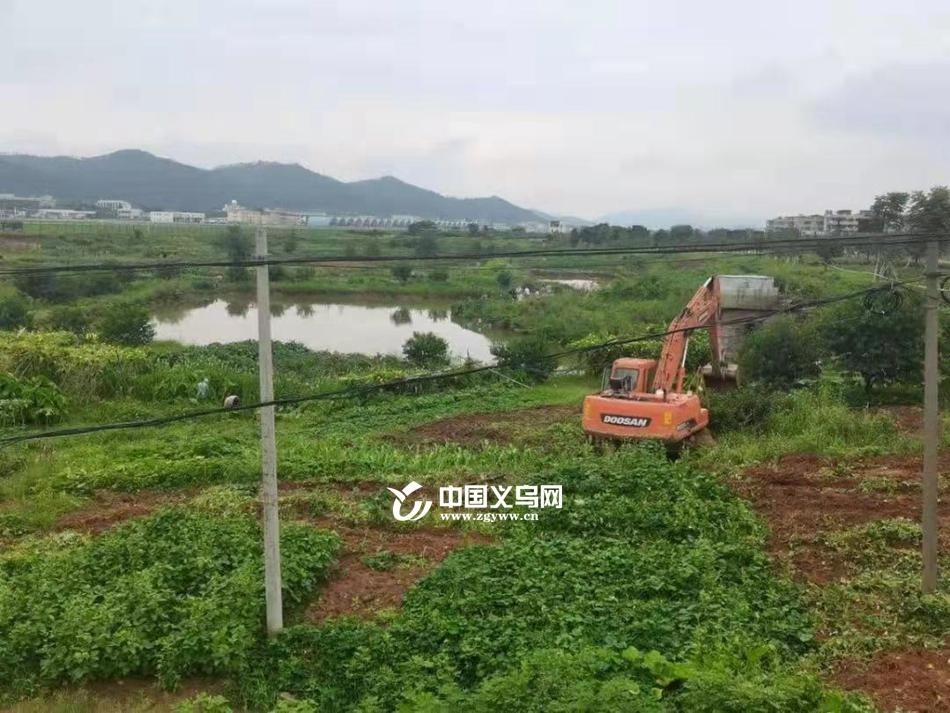 義烏北苑柳青最新新聞